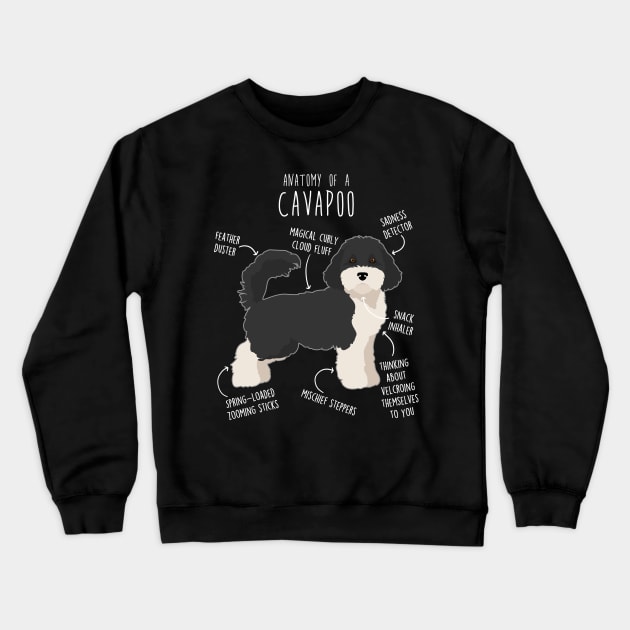 Parti Cavapoo Dog Anatomy Crewneck Sweatshirt by Psitta